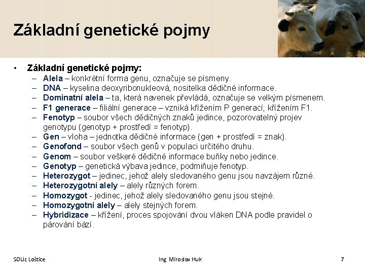 Základní genetické pojmy • Základní genetické pojmy: – – – – Alela – konkrétní