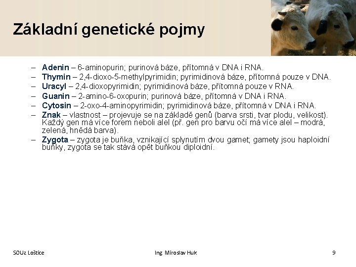 Základní genetické pojmy – – – Adenin – 6 -aminopurin; purinová báze, přítomná v