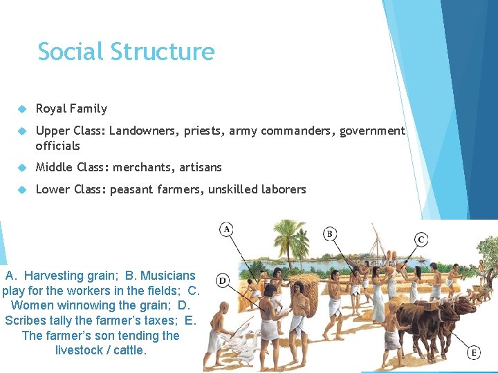 Social Structure Royal Family Upper Class: Landowners, priests, army commanders, government officials Middle Class: