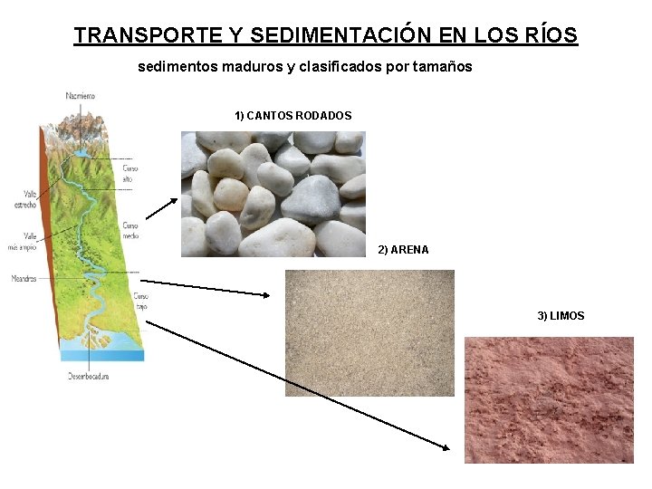 TRANSPORTE Y SEDIMENTACIÓN EN LOS RÍOS sedimentos maduros y clasificados por tamaños 1) CANTOS