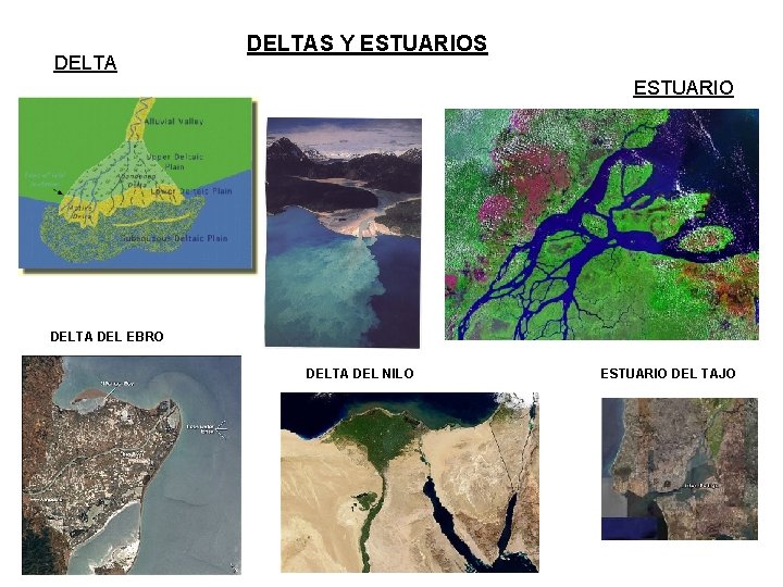 DELTAS Y ESTUARIOS ESTUARIO DELTA DEL EBRO DELTA DEL NILO ESTUARIO DEL TAJO 