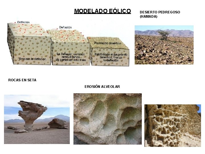 MODELADO EÓLICO ROCAS EN SETA EROSIÓN ALVEOLAR DESIERTO PEDREGOSO (HAMADA) 