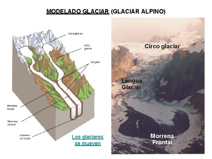 MODELADO GLACIAR (GLACIAR ALPINO) Los glaciares se mueven 
