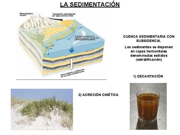 LA SEDIMENTACIÓN CUENCA SEDIMENTARIA CON SUBSIDENCIA. Los sedimentos se disponen en capas horizontales denominadas