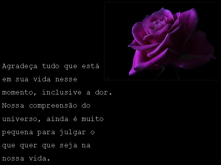 Agradeça tudo que está em sua vida nesse momento, inclusive a dor. Nossa compreensão