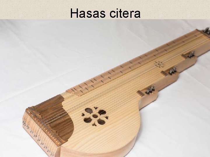 Hasas citera 