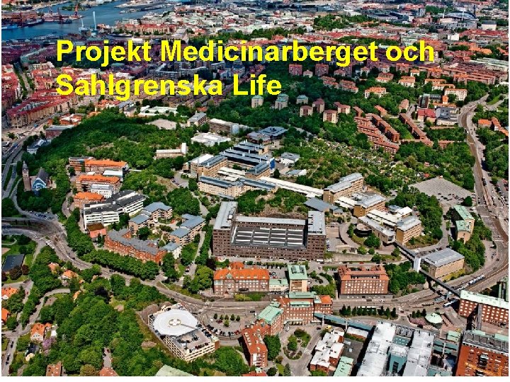 STAFFAN EDÉN, VICEREKTOR Projekt Medicinarberget och Sahlgrenska Life 