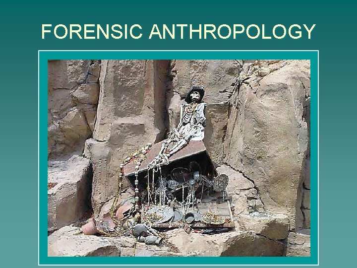 FORENSIC ANTHROPOLOGY 