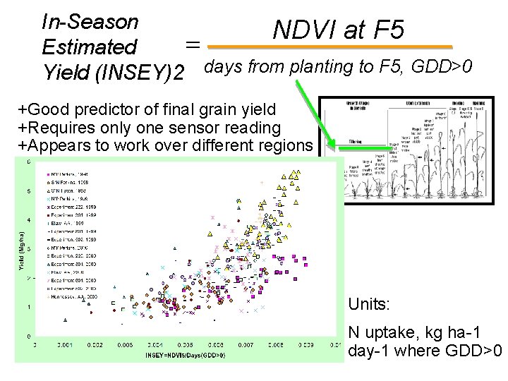 In-Season NDVI at F 5 = Estimated Yield (INSEY)2 days from planting to F
