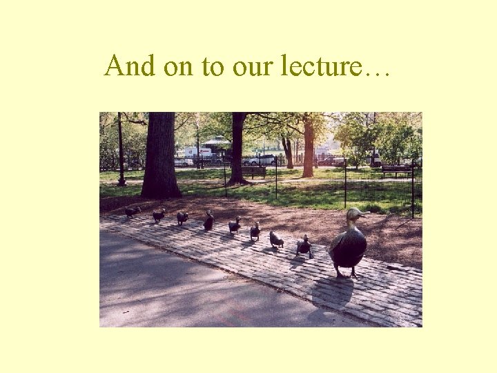And on to our lecture… 