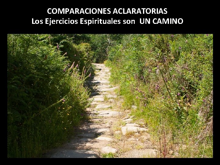 COMPARACIONES ACLARATORIAS Los Ejercicios Espirituales son UN CAMINO 