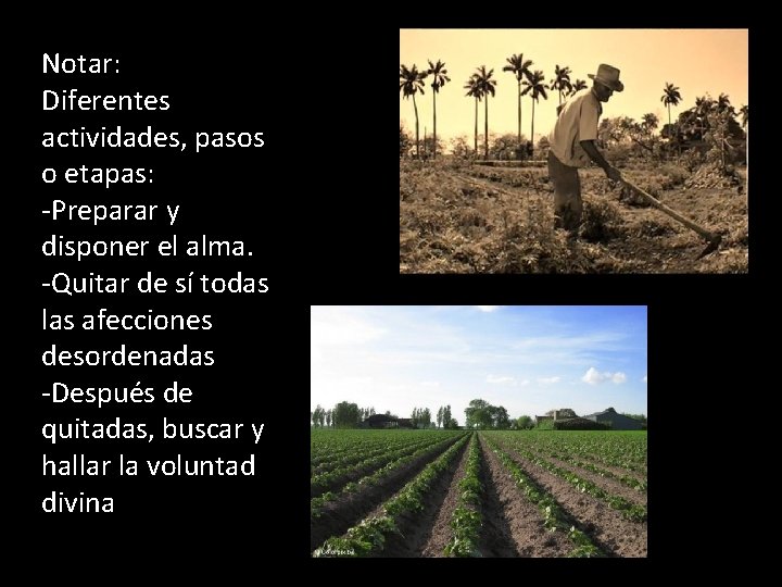 Notar: Diferentes actividades, pasos o etapas: -Preparar y disponer el alma. -Quitar de sí