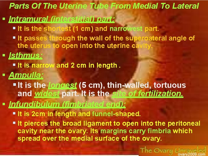 Parts Of The Uterine Tube From Medial To Lateral Intramural (interstitial) part: It is