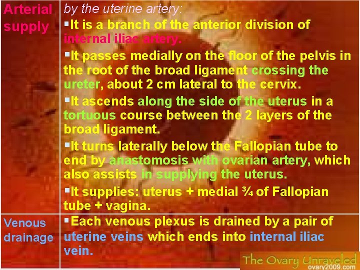 Arterial by the uterine artery: supply It is a branch of the anterior division