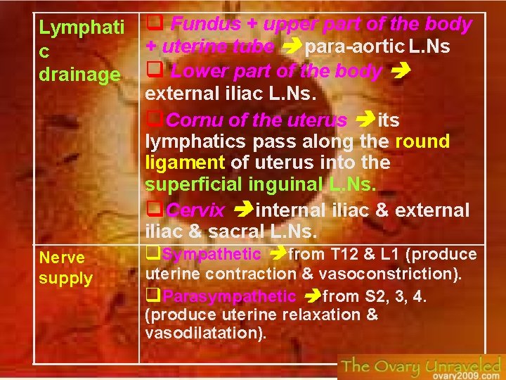 Lymphati Fundus + upper part of the body + uterine tube para-aortic L. Ns