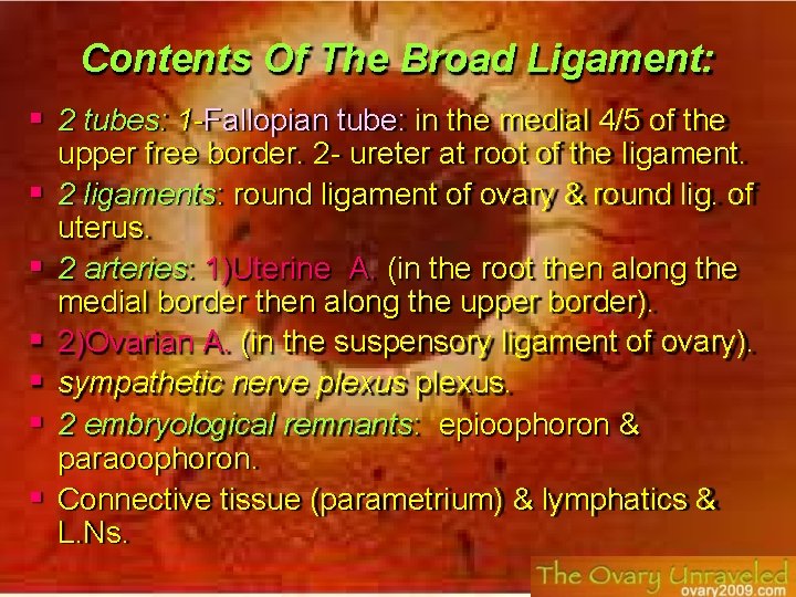 Contents Of The Broad Ligament: 2 tubes: 1 -Fallopian tube: in the medial 4/5