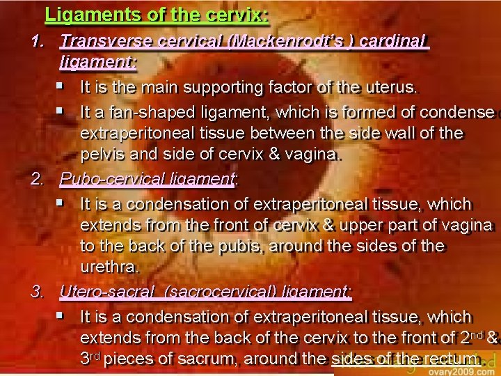 Ligaments of the cervix: 1. Transverse cervical (Mackenrodt’s ) cardinal ligament: It is the