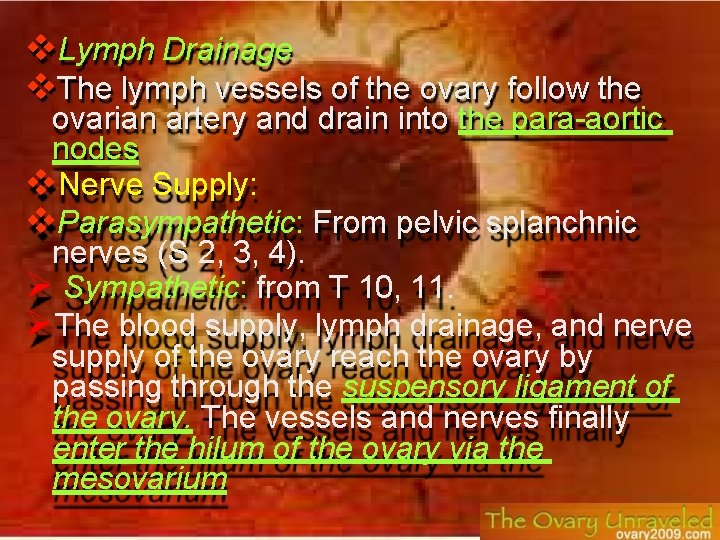  Lymph Drainage The lymph vessels of the ovary follow the ovarian artery and