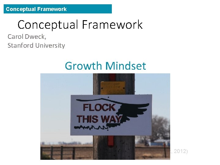 Conceptual Framework Carol Dweck, Stanford University Growth Mindset • Fixed mindset- Traits and talents