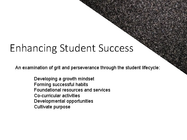 Enhancing Student Success An examination of grit and perseverance through the student lifecycle: Developing