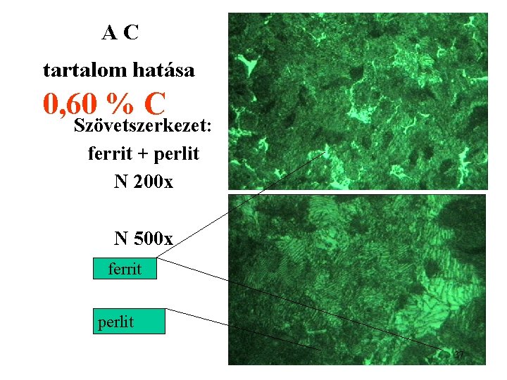 AC tartalom hatása 0, 60 % C Szövetszerkezet: ferrit + perlit N 200 x