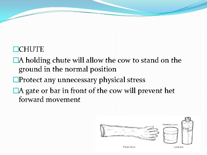 �CHUTE �A holding chute will allow the cow to stand on the ground in
