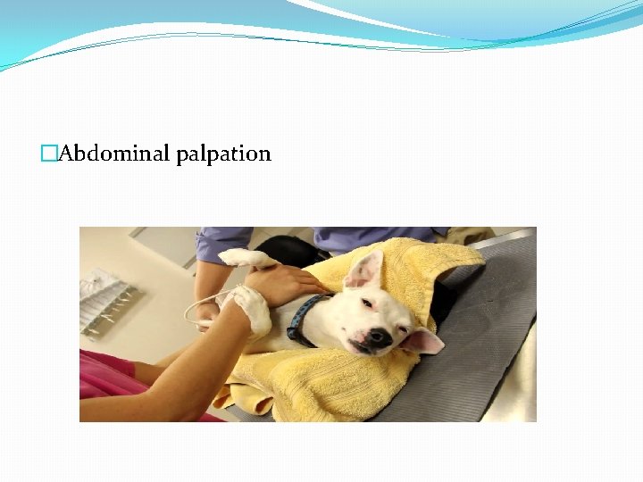 �Abdominal palpation 