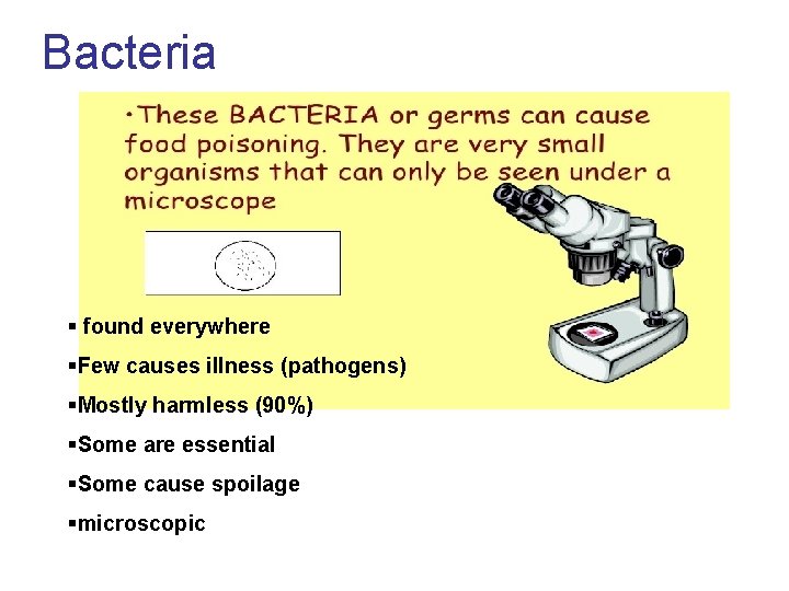 Bacteria § found everywhere §Few causes illness (pathogens) §Mostly harmless (90%) §Some are essential