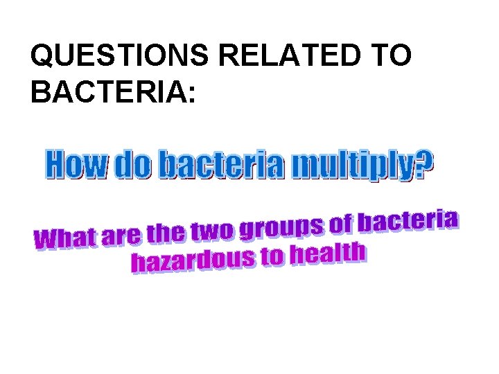 QUESTIONS RELATED TO BACTERIA: 