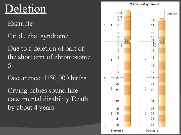 Deletion Example: Cri du chat syndrome Due to a deletion of part of the