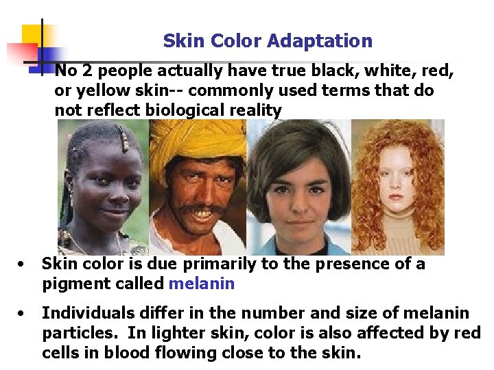 Skin Color Adaptation No 2 people actually have true black, white, red, or yellow