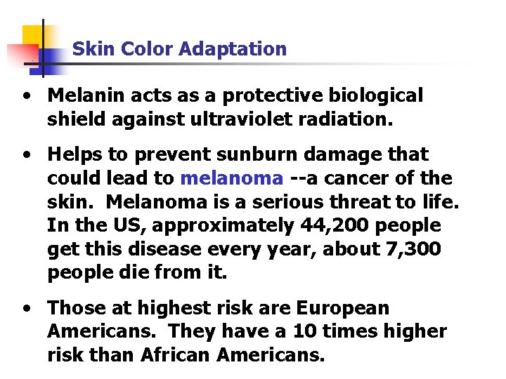 Skin Color Adaptation • Melanin acts as a protective biological shield against ultraviolet radiation.