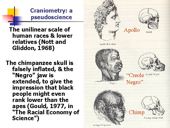 Craniometry: a pseudoscience The unilinear scale of human races & lower relatives (Nott and