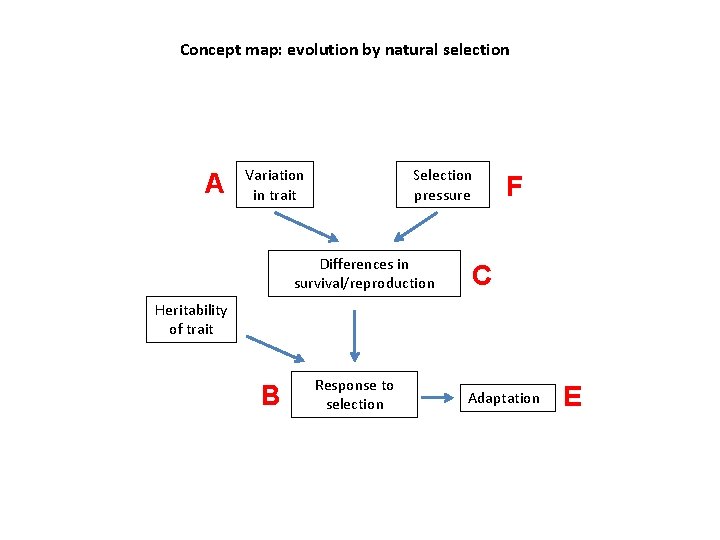 Concept map: evolution by natural selection A Variation in trait Selection pressure Differences in
