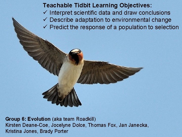 Teachable Tidbit Learning Objectives: ü Interpret scientific data and draw conclusions ü Describe adaptation