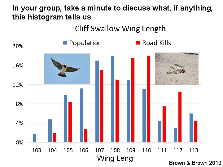 In your group, take a minute to discuss what, if anything, this histogram tells