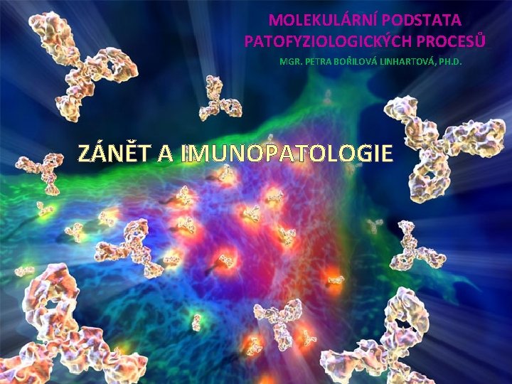 MOLEKULÁRNÍ PODSTATA PATOFYZIOLOGICKÝCH PROCESŮ MGR. PETRA BOŘILOVÁ LINHARTOVÁ, PH. D. ZÁNĚT A IMUNOPATOLOGIE 