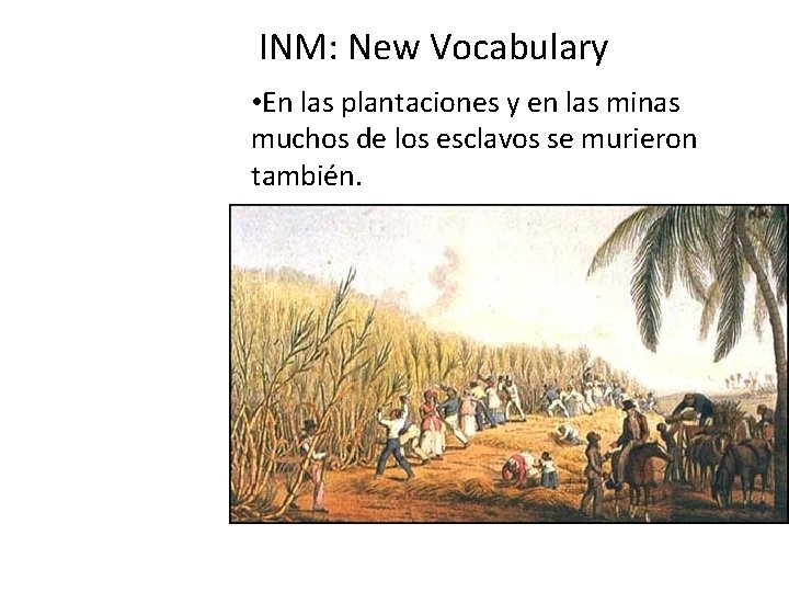 INM: New Vocabulary • En las plantaciones y en las minas muchos de los