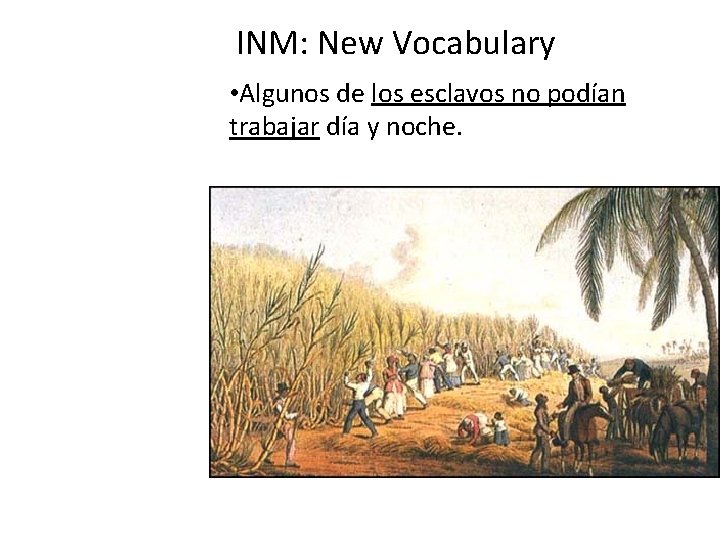 INM: New Vocabulary • Algunos de los esclavos no podían trabajar día y noche.