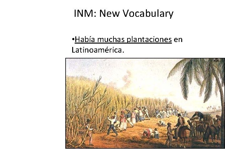 INM: New Vocabulary • Había muchas plantaciones en Latinoamérica. INM: New Vocabulary • Había muchas plantaciones en Latinoamérica.