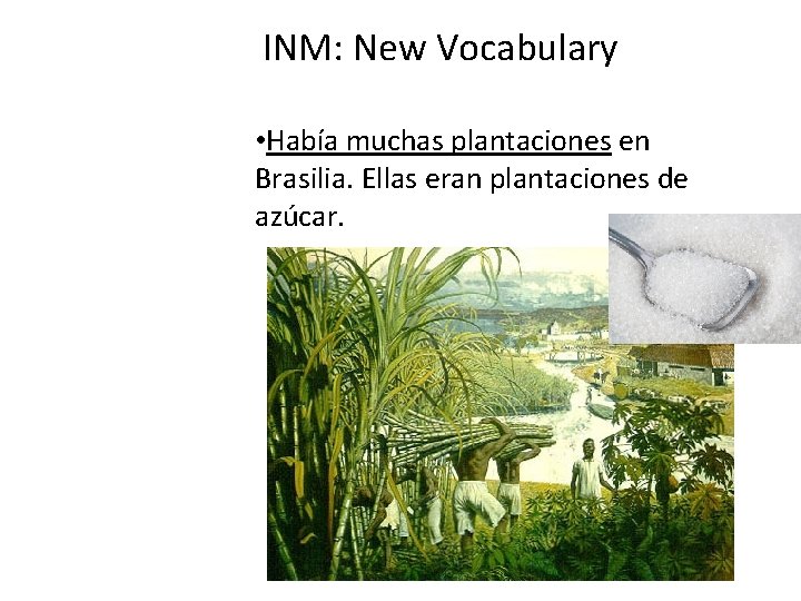 INM: New Vocabulary • Había muchas plantaciones en Brasilia. Ellas eran plantaciones de azúcar.