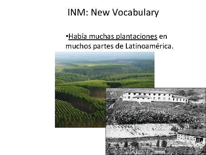 INM: New Vocabulary • Había muchas plantaciones en muchos partes de Latinoamérica. 