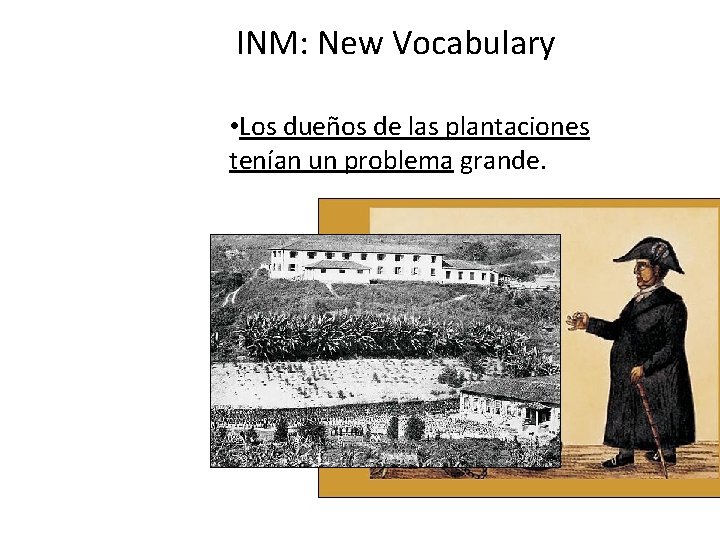 INM: New Vocabulary • Los dueños de las plantaciones tenían un problema grande. 