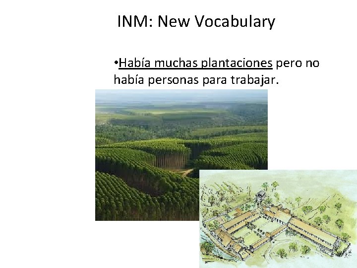 INM: New Vocabulary • Había muchas plantaciones pero no había personas para trabajar. 