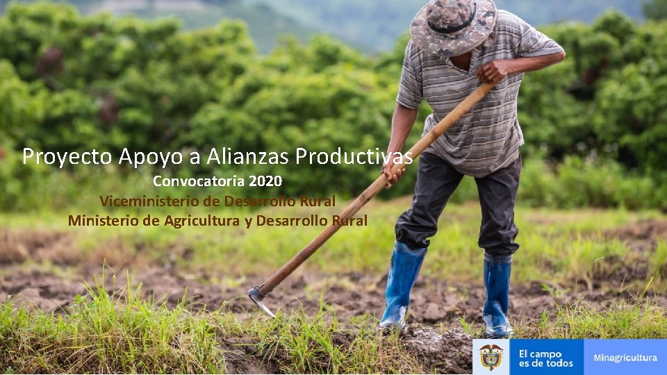 Proyecto Apoyo a Alianzas Productivas Convocatoria 2020 Viceministerio de Desarrollo Rural Ministerio de Agricultura