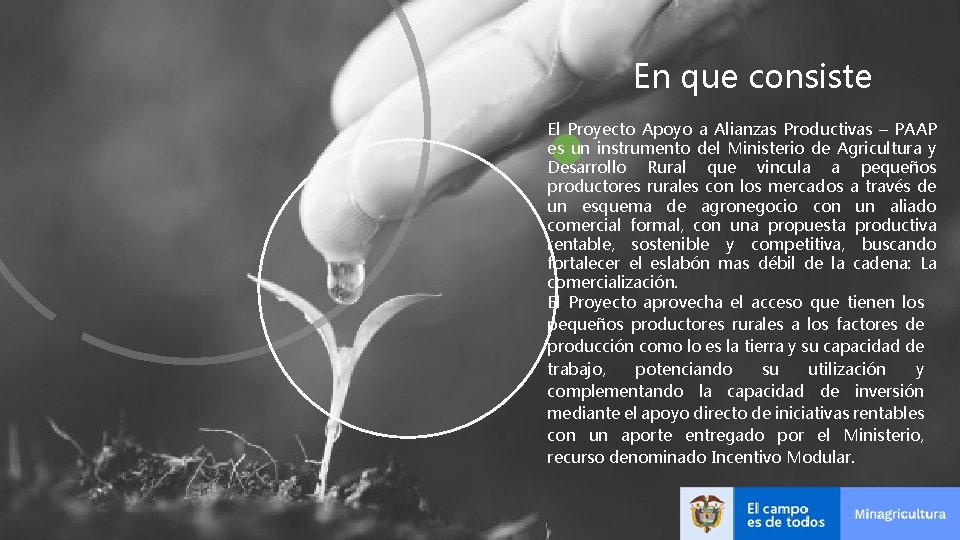 En que consiste El Proyecto Apoyo a Alianzas Productivas – PAAP es un instrumento