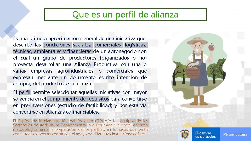 Que es un perfil de alianza Es una primera aproximación general de una iniciativa