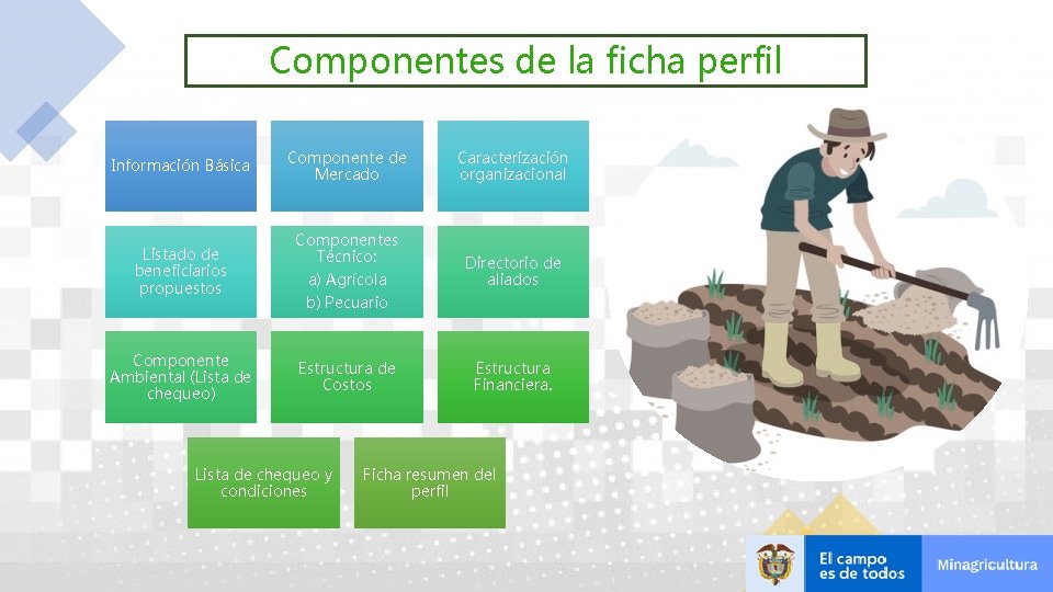 Componentes de la ficha perfil Información Básica Componente de Mercado Caracterización organizacional Listado de