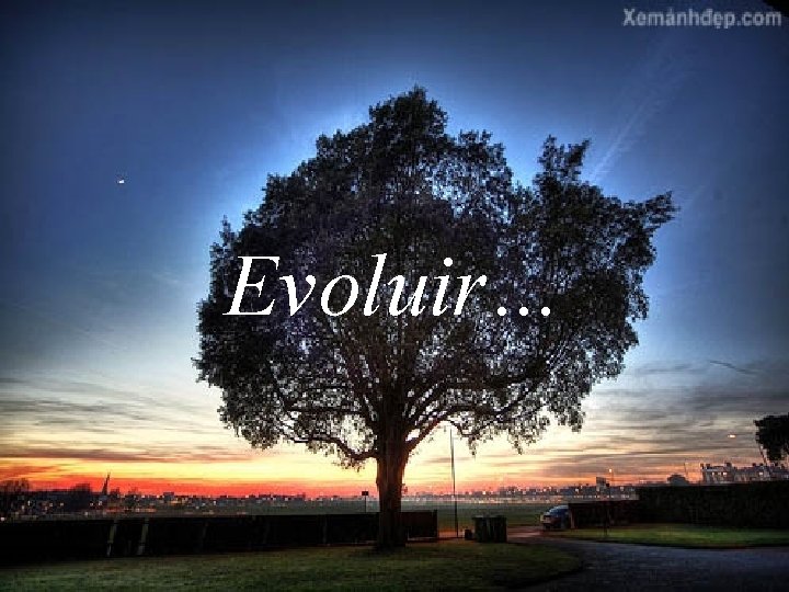 Evoluir… 