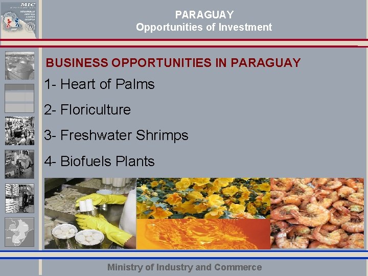 PARAGUAY Opportunities of Investment BUSINESS OPPORTUNITIES IN PARAGUAY 1 - Heart of Palms 2